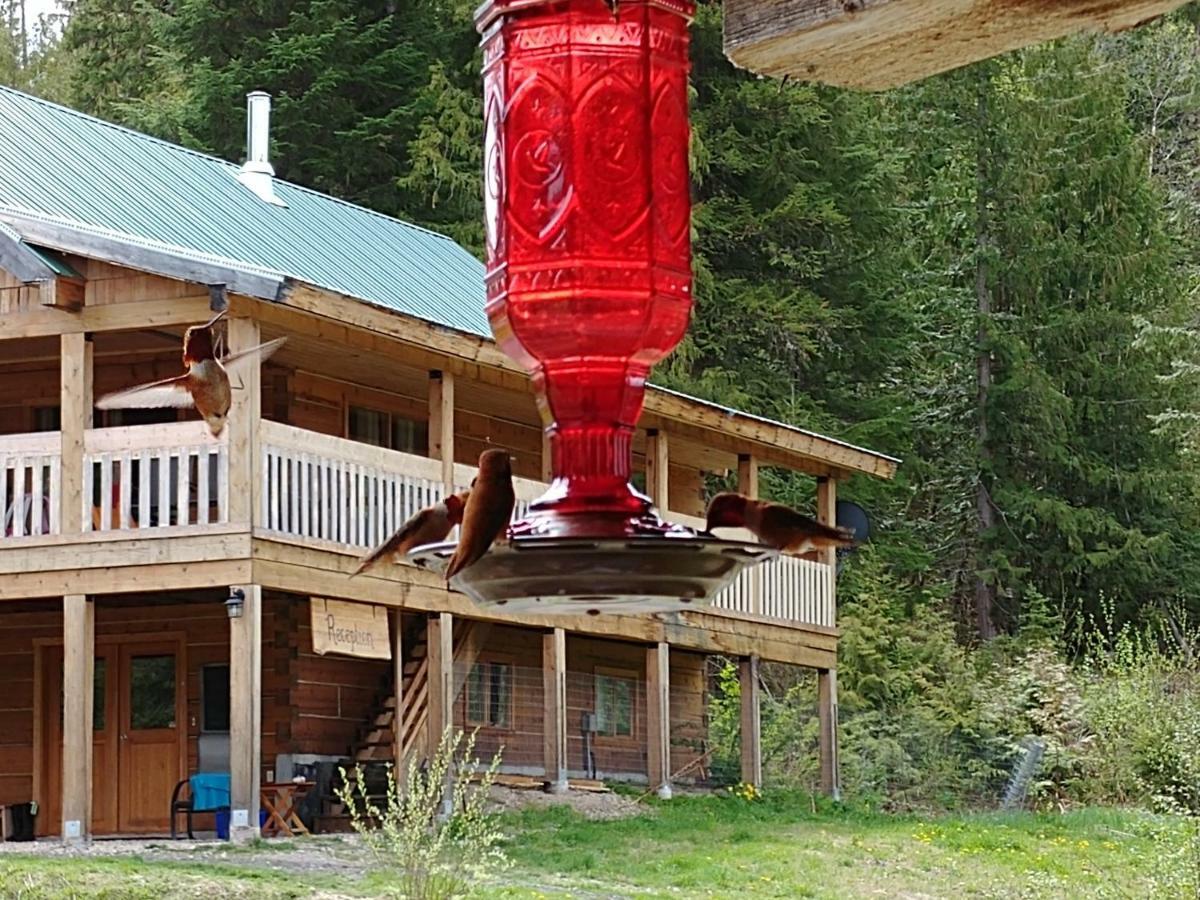 Wolfwood Guest Ranch Villa Clearwater Buitenkant foto